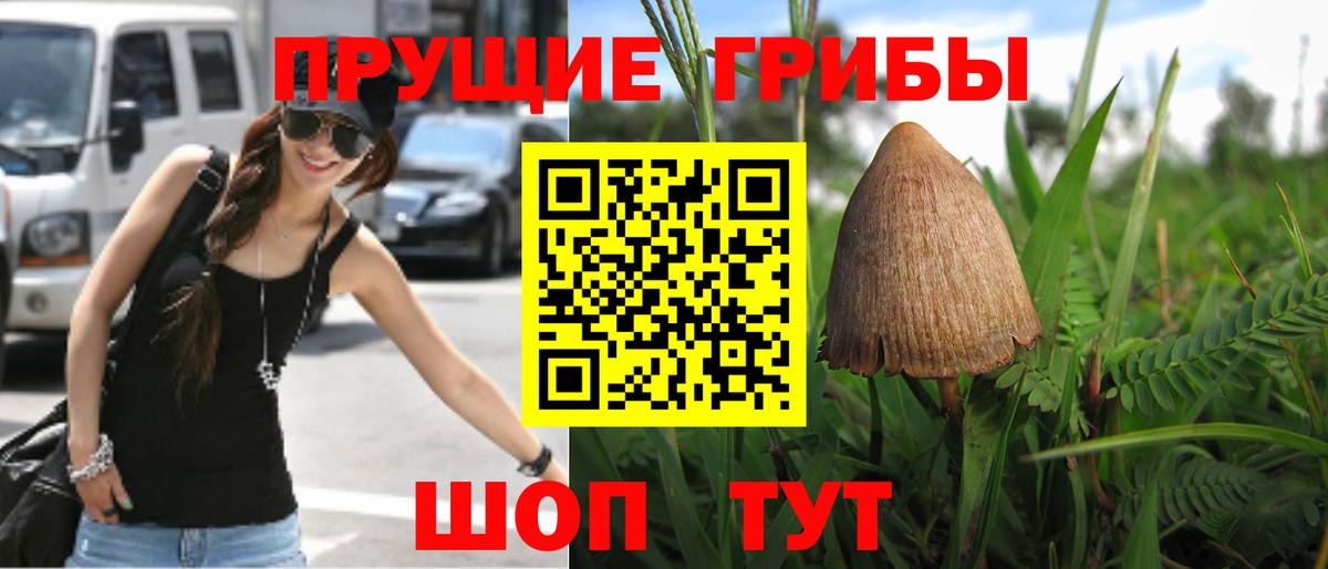 Псилоцибиновые грибы Magic Shrooms Алушта